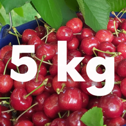 5kg|Czereśnia świeża 1 kg|Czereśnia świeża 3 kg|czeresnia-swieza-5kg
